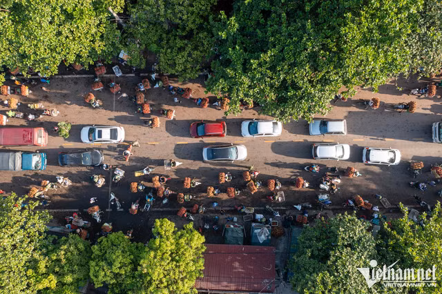 Chum anh xe cho vai thieu ngap tran mua vu thang 7-Hinh-7