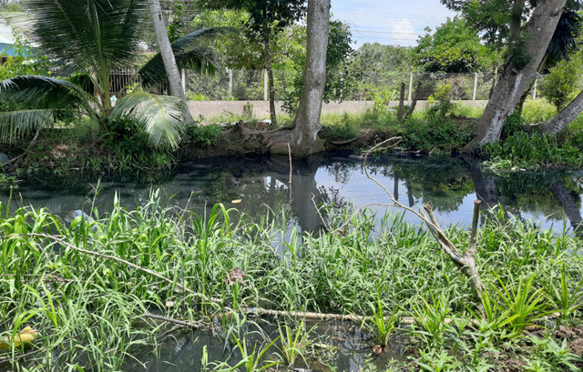 Soc Trang: Dap dap ngan nuoc hoi thoi tu khu cong nghiep tran ra ngoai-Hinh-3
