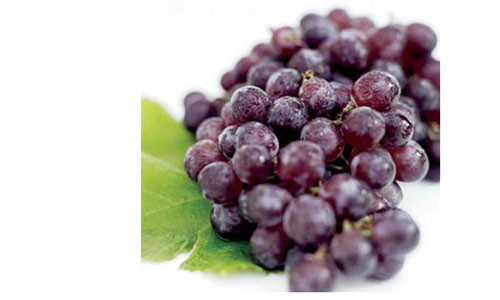 Nho giàu chất dinh dưỡng, tốt cho gan, thận, máu và các chất dịch trong cơ thể, đồng thời giúp lợi tiểu cho bé. Nho giàu chất dinh dưỡng, tốt cho gan, thận, máu và các chất dịch trong cơ thể, đồng thời giúp lợi tiểu cho bé.