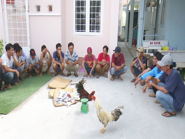 Bắt quả tang 21 đối tượng đá gà ăn tiền ngày giáp Tết Bat qua tang 21 doi tuong da ga an tien ngay giap Tet