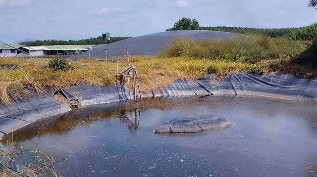 Dong Nai: So TN&MT yeu cau 4 doanh nghiep FDI tam ngung hop tac 328 trang trai-Hinh-2