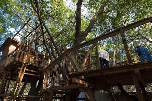 24 gia dinh dong gop hang tram ty lam khu 'biet phu' o lang que-Hinh-10