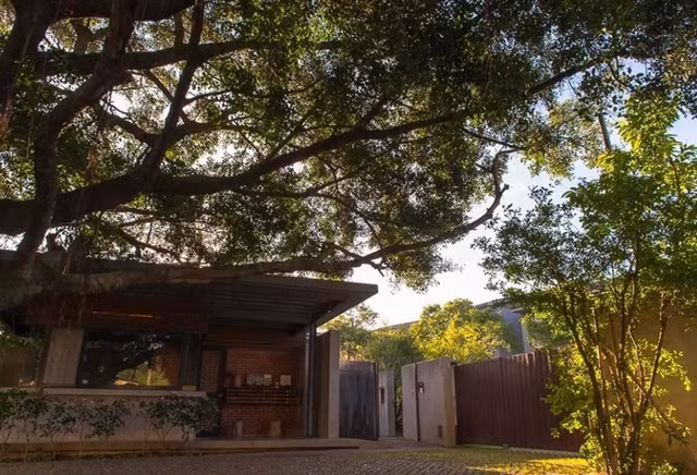 24 gia dinh dong gop hang tram ty lam khu 'biet phu' o lang que-Hinh-5