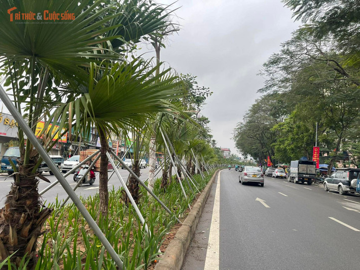 Dọc tuyến từ khu vực Kim Đồng - Giải Phóng đến Đầm Hồng, mặt đường đã được thảm nhựa đồng bộ, các làn xe được kẻ vạch rõ ràng.