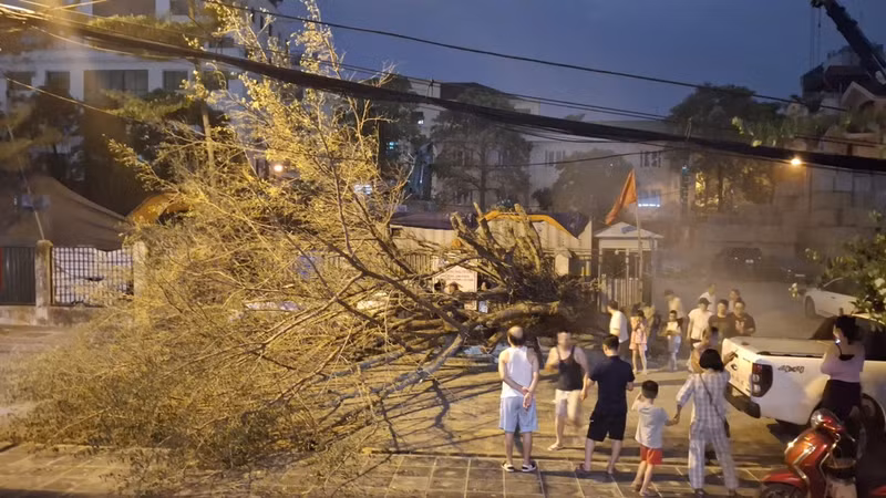 Mưa to gió lớn giật tung cây xanh, ôtô bị đè bẹp giữa phố Hà Nội