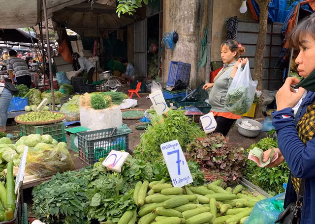 Di cho dau moi, cam 10.000 dong du rau xanh an ca ngay cho gia dinh