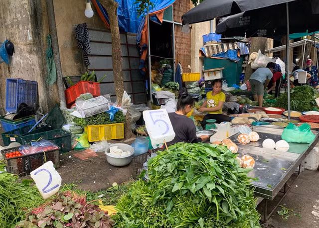 Di cho dau moi, cam 10.000 dong du rau xanh an ca ngay cho gia dinh-Hinh-3