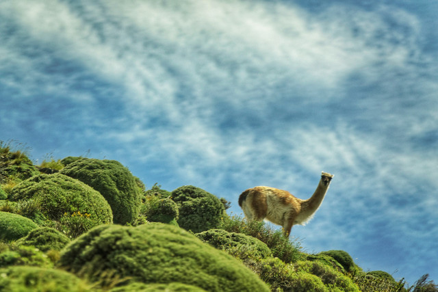 Vườn quốc gia đẹp tựa xứ thần tiên - Hình 9 Vuon quoc gia dep tua xu than tien-Hinh-9