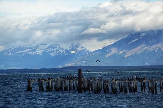 Vuon quoc gia dep tua xu than tien-Hinh-13