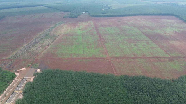 Đồng Nai: Chốt ngày 25/4 đấu giá đất Cụm công nghiệp Long Giao Dong Nai: Chot ngay 25/4 dau gia dat Cum cong nghiep Long Giao