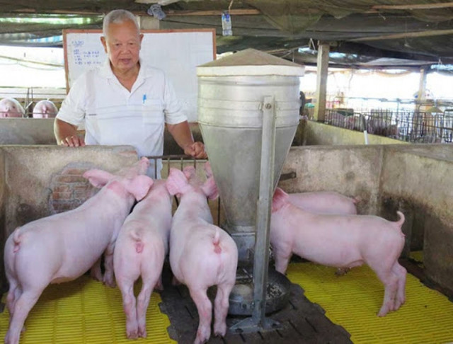 Giá heo hơi hôm nay 27/7: Người nuôi ngại tái đàn vì nhiều "nỗi lo"? Gia heo hoi hom nay 27/7: Nguoi nuoi ngai tai dan vi nhieu