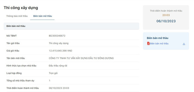 Cau duong Ben Tre ‘mot minh mot ngua’ trung goi thau hon 12 ty tai Ba Tri?