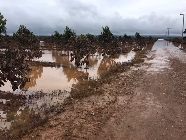 Hien tuong bat thuong, 1.500 ha trai cay cua bau Duc tai Lao bi ngap lut-Hinh-8
