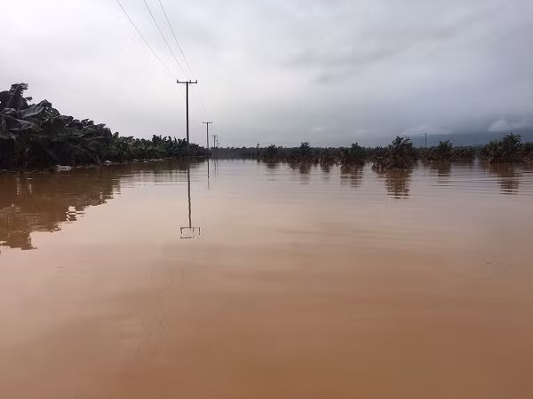 Hien tuong bat thuong, 1.500 ha trai cay cua bau Duc tai Lao bi ngap lut-Hinh-7
