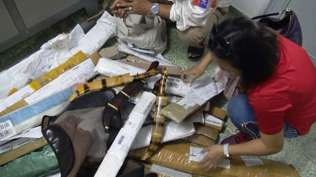 Đường dây 'hàng nóng' cực lớn vận chuyển bằng đường bưu điện từ phía Bắc vào Sài Gòn Duong day 'hang nong' cuc lon van chuyen bang duong buu dien tu phia Bac vao Sai Gon