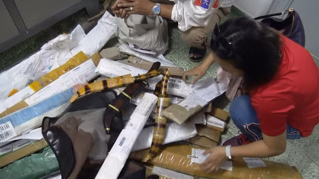 Duong day 'hang nong' cuc lon van chuyen bang duong buu dien tu phia Bac vao Sai Gon