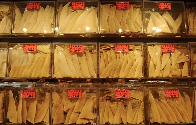 Gioi nha giau dang day ca map den vien canh tuyet chung-Hinh-2