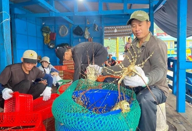 Tôm Việt Nam "lên ngôi" tại Trung Quốc. Ảnh minh họa: IT. Tôm Việt Nam "lên ngôi" tại Trung Quốc. Ảnh minh họa: IT.