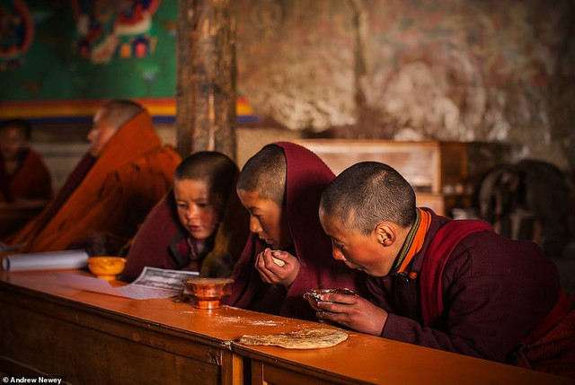 Khung canh kinh ngac o nhung noi heo lanh nhat the gioi giua mua dong-Hinh-7