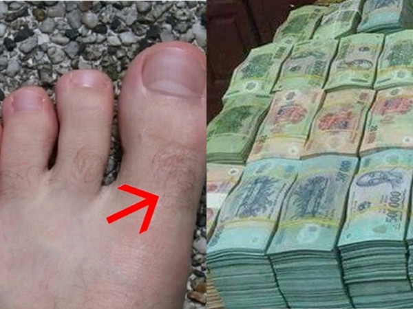 Chị em hãy tự hào vì lông càng mọc nhiều ở 3 vị trí này thì càng phát tài - Hình 3 Chi em hay tu hao vi long cang moc nhieu o 3 vi tri nay thi cang phat tai-Hinh-3