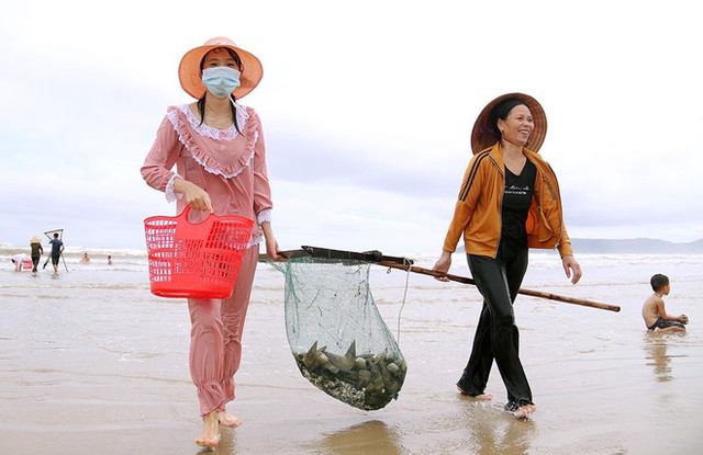 Vì sao ốc dạt vào bờ biển dày đặc? - Hình 2 Vi sao oc dat vao bo bien day dac?-Hinh-2