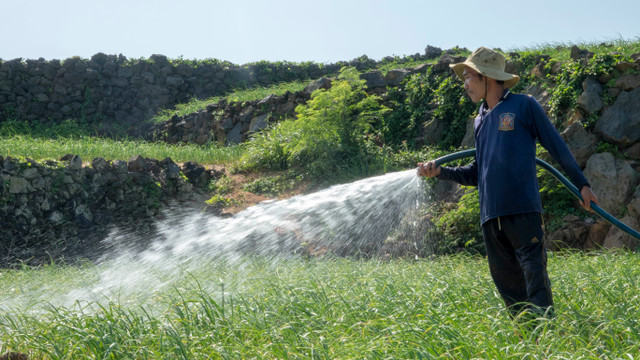 Quảng Ngãi: Thu gom nước mưa để 'giải khát' cho Lý Sơn Quang Ngai: Thu gom nuoc mua de 'giai khat' cho Ly Son