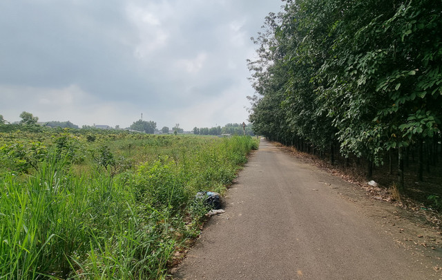 Dong Nai: Nguoi dan lo lang vi huong tuyen Vanh dai 4 co the dieu chinh-Hinh-2