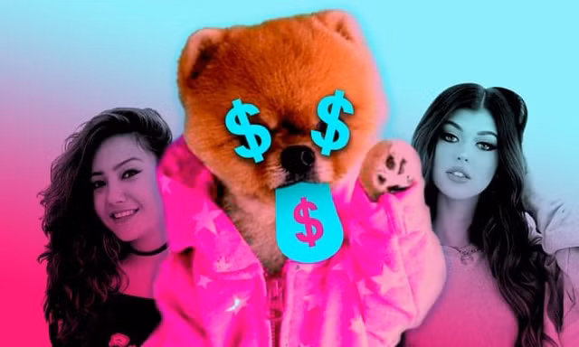 Có thể kiếm được 1 triệu USD cho mỗi video tên TikTok Co the kiem duoc 1 trieu USD cho moi video ten TikTok