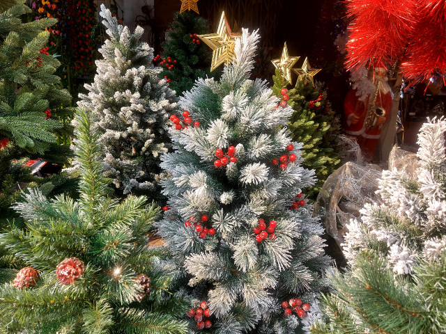 Cận kề Giáng sinh, giá cây thông Noel 'mỗi nơi một kiểu' Can ke Giang sinh, gia cay thong Noel 'moi noi mot kieu'