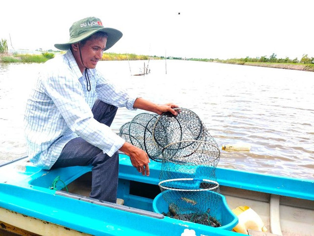 Mỹ dự kiến áp thuế 46%, tôm Cà Mau gặp khó? My du kien ap thue 46%, tom Ca Mau gap kho?