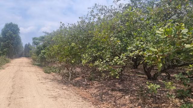 Dat dan khai hoang nhung lai 'cap nham' cho can bo