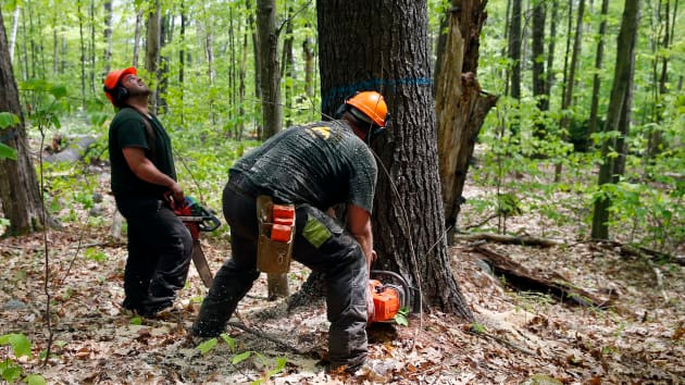 10 nghe nguy hiem nhat tai My co thu nhap the nao?-Hinh-10