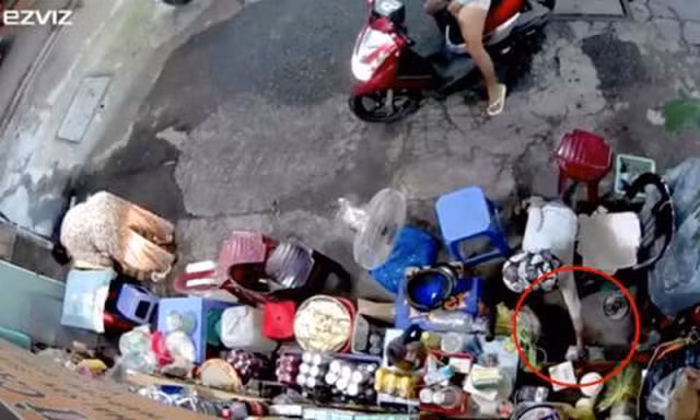 Bat tam giam nguoi phu nu cho tre nho dan canh trom tien cua nguoi ban tap hoa-Hinh-2