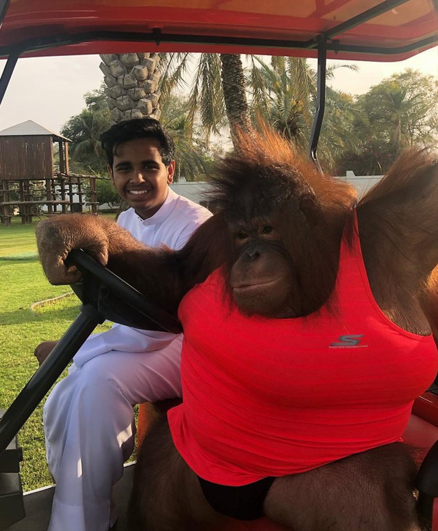 Ngoài tay chơi giày nổi tiếng, rich kid 10X Dubai còn sở hữu vườn thú mini - Hình 11 Ngoai tay choi giay noi tieng, rich kid 10X Dubai con so huu vuon thu mini-Hinh-11