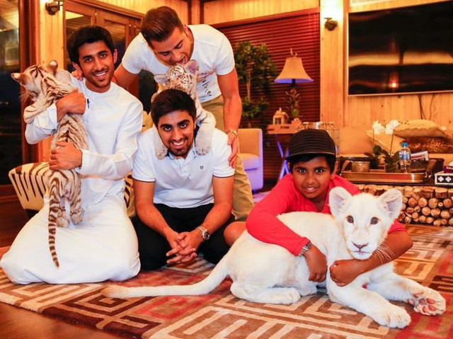 Ngoài tay chơi giày nổi tiếng, rich kid 10X Dubai còn sở hữu vườn thú mini - Hình 9 Ngoai tay choi giay noi tieng, rich kid 10X Dubai con so huu vuon thu mini-Hinh-9