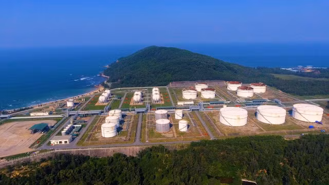 9 thang, Loc hoa dau Binh Son uoc dat hon 75 nghin ty dong doanh thu