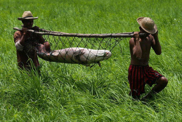 Can canh di san thuy quai tren song Amazon-Hinh-12
