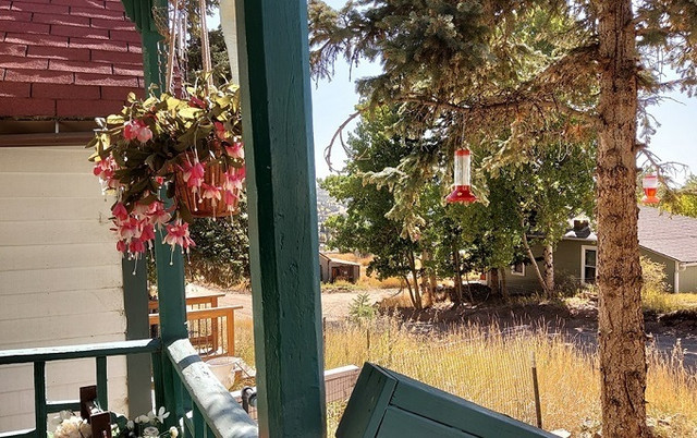 Say đắm Việt kiều Mỹ, bà chủ homestay chết lặng trước sự thật Say dam Viet kieu My, ba chu homestay chet lang truoc su that