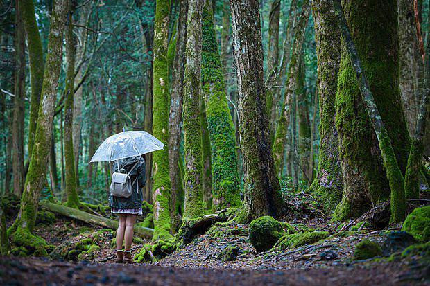 5 địa điểm bí ẩn rùng mình nhất Nhật Bản, không ai dám tới 5 dia diem bi an rung minh nhat Nhat Ban, khong ai dam toi