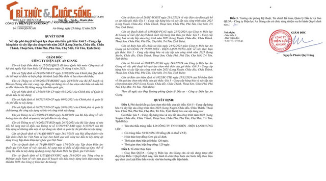 TPHCM: Liên danh Mai Nguyễn - IEC trúng gói thầu gần 31 tỷ đồng - Hình 3 TPHCM: Lien danh Mai Nguyen - IEC trung goi thau gan 31 ty dong-Hinh-3