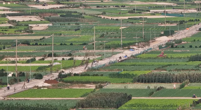 Ly Son tam dung chuyen nhuong dat nong nghiep cho nguoi ngoai dia phuong