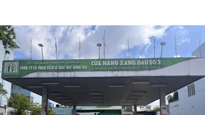 Vật liệu XD Chất đốt Đồng Nai được chuyển mục đích 878m2 đất làm cửa hàng xăng dầu