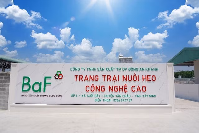 BAF thau tom 7 cong ty chan nuoi trong 1 thang