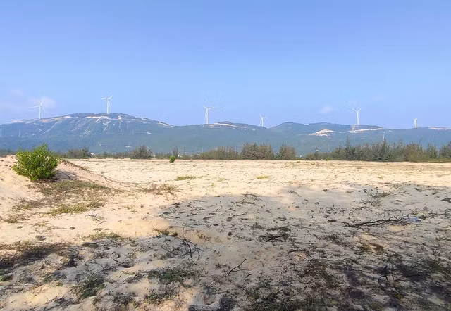 Yêu cầu không thay đổi hiện trạng dự án KCN Nhơn Hội - Khu B Yeu cau khong thay doi hien trang du an KCN Nhon Hoi - Khu B
