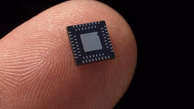 chip-2.png