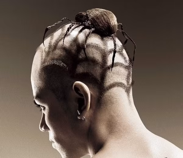 Thêm một kiểu tóc độc lạ hình con nhện. Có lẽ chỉ những người cá tính mạnh mới đủ can đảm mang vẻ ngoài như thế này.