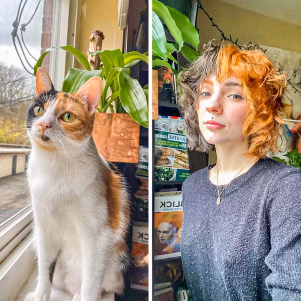 Cũng là tóc ngang vai nhưng cô gái trong hình lại vô cùng “hoang dã”. Để giống chú mèo cưng, cô sẵn sàng nhuộm hai màu hoàn toàn khác biệt. Chưa kể mái tóc vô cùng khô rối, như thể từ lâu chưa được chăm sóc, dưỡng ẩm.