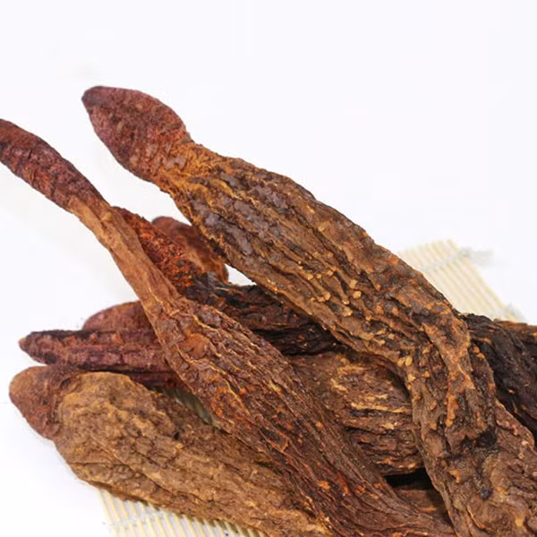 Nấm chủ yếu sinh sống và phát triển tại các khu rừng có độ ẩm thấp, vùng núi cao hơn 1500m so với mặt nước biển. Tại Việt Nam, nấm ngọc cẩu có nhiều ở các tỉnh phía Bắc như Tam Đảo, Cao Bằng, Yên Bái, Ba Vì, Lào Cai, Sapa, Hoàng Liên Sơn, Hoà Bình.