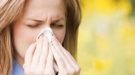 Tuy nhiên, điều này là không chính xác. Ảnh: corydontimes.