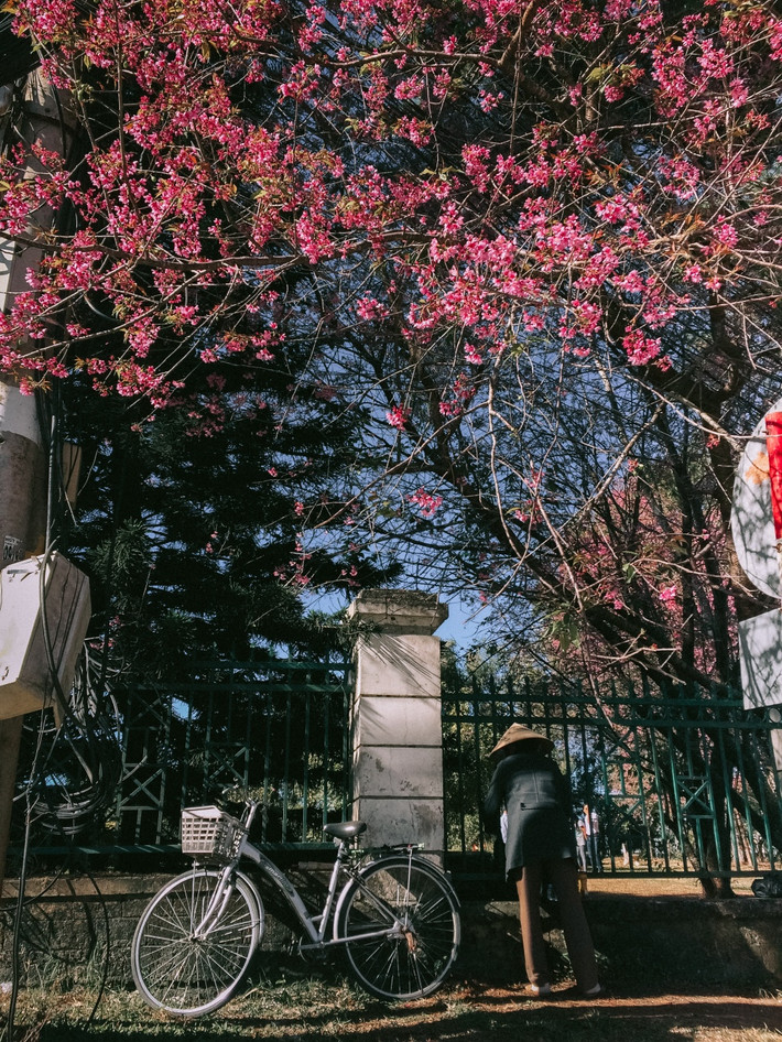 Góc nhỏ xinh như Hàn hay Nhật. (Ảnh: Bảo Bình)